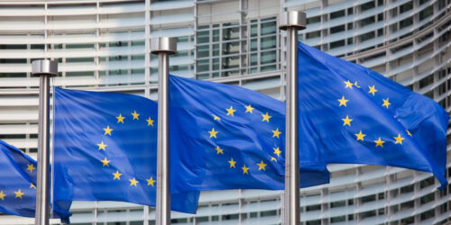 European Elections: Fixed Positions on Mobility Issues