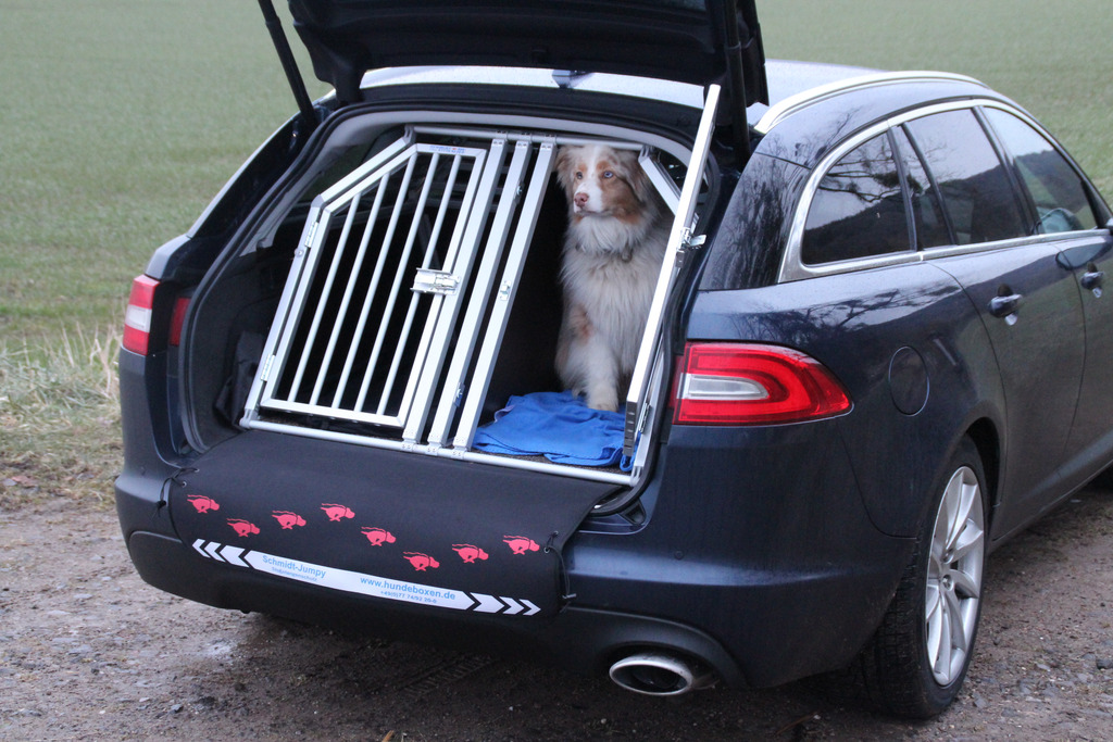 Our tips for travelling with your pets